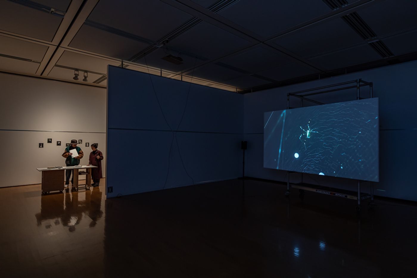 Azu Kimura — “Thread of Being”, the spider & the sound